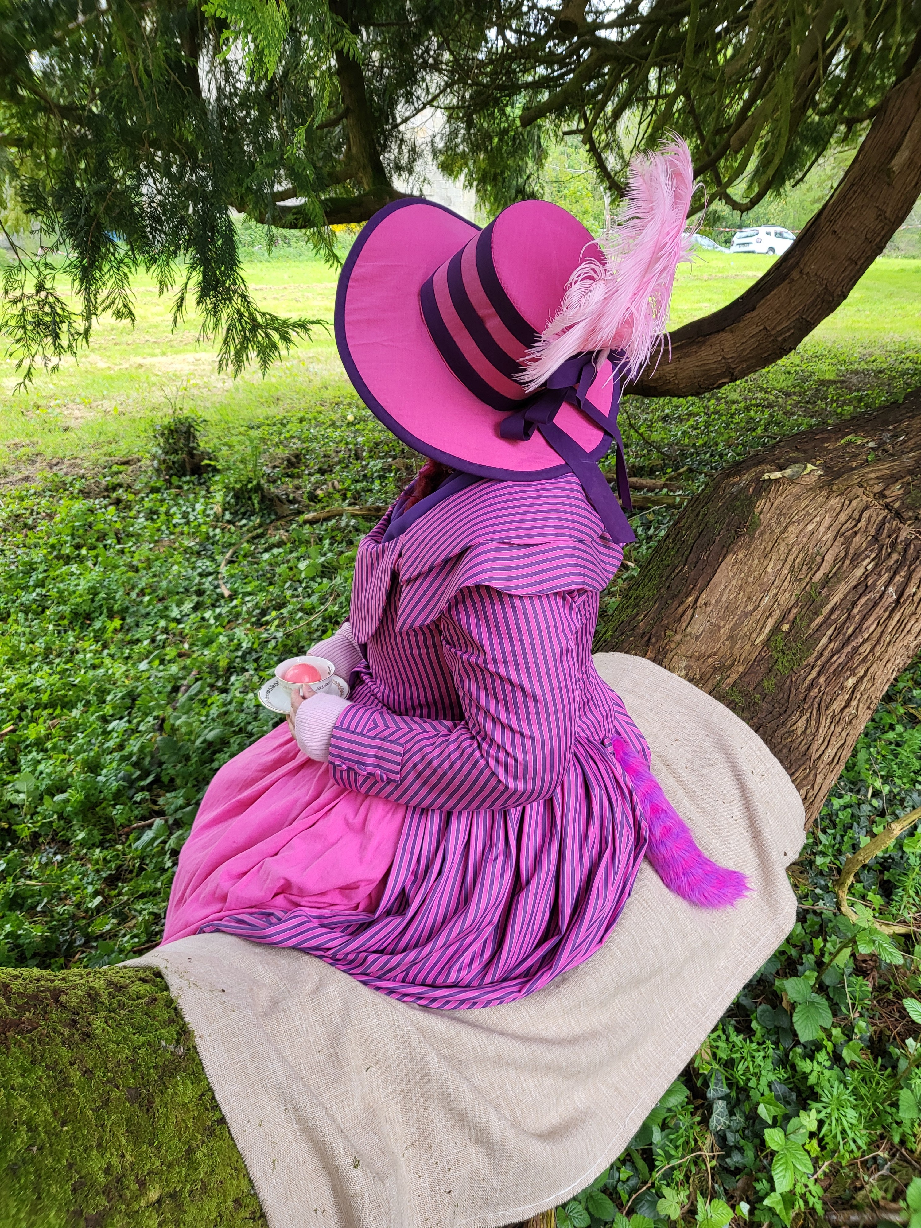 Chat du Cheshire