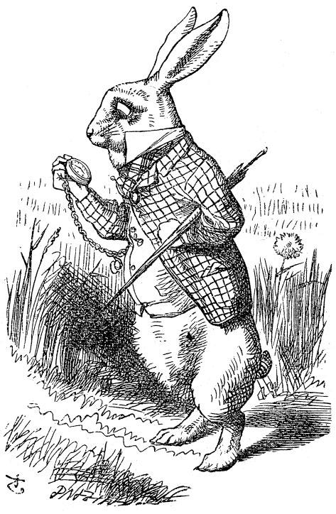 Whiterabbit