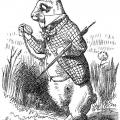 Whiterabbit